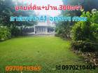 ขาย ที่ดิน และบ้านเดี่ยว ลาดพร้าว41 300 ตร.วา จันทรเกษม จตุจักร กทม