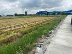 ขายที่ดิน 5-40 ไร่ ถ.คลองอุดมชลจร อ.ฉะเชิงเทรา ถมที่ดินให้ฟรีเสมอ