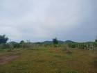 ขายที่ดิน 1 ไร่ อ.อู่ทอง จ.สุพรรณบุรี