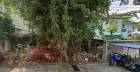 ขายที่ดินเปล่า 42 ตรว ถมแล้ว ซอยลาดพร้าว 34 เข้าจากถนนลาดพร้าว 60