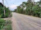 ขายที่ดิน 13 ไร่ คลองแปด ซอยลำลูกกา151 ต.ลำลูกกา อ.ลำลูกกา จ.ปทุมธานี
