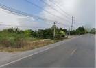 ขายที่ดิน 11 ไร่ ต.ราษฎร์นิยม อ.ไทรน้อย จ.นนทบุรี