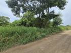 ขายที่ดิน คลองห้า ปทุมธานี ใกล้พิพิธภัณฑ์วิทยาศาสตร์ เหมาะสร้างบ้