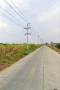 ขายที่ดินหนองไผ่แก้วชลบุรี ขายที่ดิน 124 ไร่ 