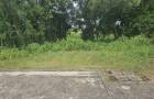 ที่ดินมีนบุรี 60 ตร.ว. ถมแล้ว ซอยราษฎร์อุทิศ 10 เขตมีนบุรี กรุงเทพ