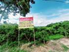 ขายที่ดินทำเลทอง 47 ไร่ 26 ตร.วา.  วังม้า  ลาดยาว  นครสวรรค์ 