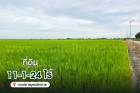 ที่ดินเปล่า 11-1-24 ไร่ คลองนิยมยาตรา บางบ่อ ทำเลดี 