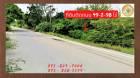 ขายที่ดิน49-2-98ไร่ติดถนนคอนกรีต 4 เลน มีน้ำไฟหนองเสือปทุมธานี 