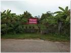 ขายที่ดิน 4 ไร่ พนัสนิคม พร้อมบ้านและสวนกล้วย ใกล้โลตัส ทำเลทอง