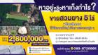 ขายที่ดินสวนยาง ติดถนน ไสใหญ่- ที่วัง ทุ่งสง จังหวัดนครศรีธรรมราช