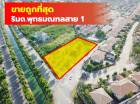 ขาย ถูกที่สุด ที่ดิน  ริมถ.พุทธมณฑลสาย 1 ขนาด 774 ตรว CC