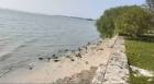 ขายที่ดินติดทะเล หาดกระทิงลาย พัทยา บางละมุง ชลบุรี