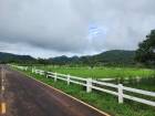 ขายที่คลองม่วง ปากช่อง เขาใหญ่ 2 ไร่ วิวเขาสวยมาก ใกล้ภูเขา วิวเขาล้อมรอบ ที่สูงบรรยากาศดี มีชุมชน เพื่อนบ้านตากอากาศ ไม่เปลี่ยว ใกล้เส้นหนองสาหร่ายปากช่อง เดินทางสะดวก 087-9074045