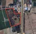  ขายที่ดินติดถนนใหญ่ ทำเลดี จ.พิจิตร อ.โพธิ์ประทับช้าง จ.พิจิตร 