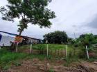 ขายที่ดินติดคลองลาดปลาดุก 186 ตรว ถมสูงกว่าถนน พร้อมปลูกสร้าง อ.บางบัวทอง จ.นนทบุรี