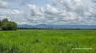 ขายที่สวยติดถนนเลียบคลอง 2 ด้าน ต.ท่าทราย อ.เมืองนครนายก
