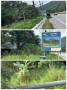 ขายที่ดิน ติดถนนเพชรเกษม ตรงข้ามน้ำตกหงาว อำเภอเมือง จังหวัดระนอง