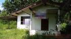 ขายบ้านเดี่ยวมือสองปักธงชัย  โครงการบ้านนางเหริญ  นครราชสีมา