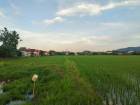 ขายที่ดินเปล่าในแม่กรณ์, เชียงราย!  14ไร่  และ 16 ไร่