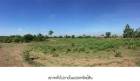 ขายที่ดินว่างเปล่ามือสอง    อำเภอเมืองบุรีรัมย์  บุรีรัมย์