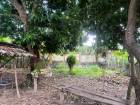 ขายที่ดิน 148 ตรว. ใกล้ถนนสุขุมวิทราคาถูก ทำเลทอง พลูตาหลวง สัตหี