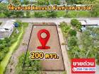 ที่ดินคลอง11 หนองเสือ ปทุมธานี ใกล้วัดป่าคลอง11