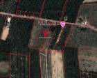 ขายที่ดินกระบี่ 3 งาน 79 ตรว ที่ดินบ้านสวน ธรรมชาติ
