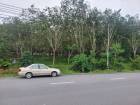 ขายที่ดิน พร้อมสวนยาง 29-0-61 ไร่ ถนนนาทวี สะเดา สงขลา