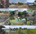 ขายบ้านพร้อมที่ดิน 5 ไร่ 