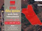 ที่ดินทำเลทอง 33 ไร่ ต.สูงเนิน จ.นครราชสีมา ราคาไร่ละ 1.2 ลบ. 