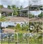 บ้านสวนพร้อมอยู่ 2ไร่ 3งาน 74ตร.วา️