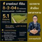 ขายที่ดิน ขามเรียง อำเภอกันทรวิชัย จังหวัดมหาสารคาม
