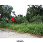 ขายที่ดินว่างเปล่า โครงการ สวนวลีแลนด์ 4  ระยอง