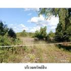 ขายที่ดินว่างเปล่า ถนน เลียบหาดแม่รำพึง อ.เมือง ระยอง  