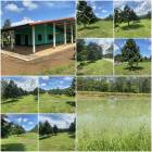 บ้านสวนทุเรียน 15 ไร่ ต้นเสมอสวย