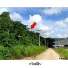 ขายที่ดินว่างเปล่า มะขามคู่ นิคมพัฒนา  ระยอง