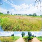 ที่ดินถมสูงกว่าถนนทั้งผืน ท้ายบ้านหนองหลุบ เดินทางสะดวก เข้า.ออกทางเส้นหมู่บ้านหรือทางถนนเลี่ยงเมืองได้ เหมาะทำบ้านสวนมากๆ เมืองขอนแก่น