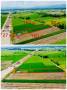 ขายที่ดิน  เชียงราย เวียงชัย 2-2-93 ตร.ว. ( 1 ล้าน )   