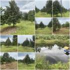 สวนทุเรียน 22 ไร่ สวนสวย/ที่ลูกเนินสวย️