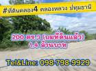 ที่ดินคลอง4 คลองหลวง ปทุมธานี 200 ตร.ว(ถมที่ดินแล้ว)