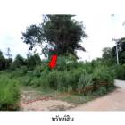 ขายที่ดินว่างเปล่าโครงการ สวนวลีแลนด์ 4  ทับมา  ระยอง