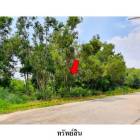 ขายที่ดินว่างเปล่าโครงการ สวนวลีแลนด์ 4  ทับมา ระยอง