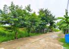 ขายที่ดิน 3 งาน 20 ตรว. บางบัวทอง (บ้านกล้วย-ไทรน้อย) ใกล้ เซ็นทรัล เวสต์เกต