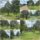 สวนทุเรียน8ปี 3 ไร่ ต้นสวยคุ้ม️