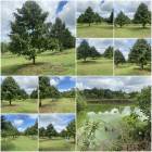 สวนทุเรียนโฉนด 8 ไร่ เก็นผลได้แล้ว️