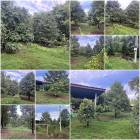 สวนทุเรียน 1ไร่ 1งาน แหล่งน้ำดี️