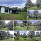 บ้านสวนทุเรียน 3 ไร่ ต้นสวยเก็บผลได้แล้ว️