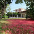 ให้เช่าบ้านใกล้อมตะซิตี้พานทองชลบุรี สิรัชชา พาร์ค