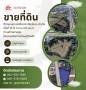 ที่ดินระดับพรีเมียม ทำเลทอง เชียงใหม่-ลำปาง (รับผู้ร่วมงาน)