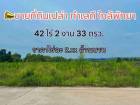 ขายที่ดินตะเคียนเตี้ยบางละมุงชลบุรี  42-2-33 ไร่ 